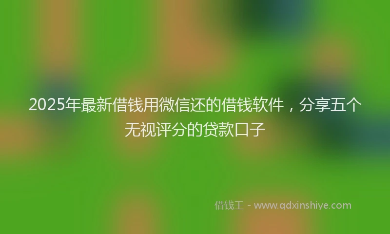 2025年最新借钱用微信还的借钱软件，分享五个无视评分的贷款口子