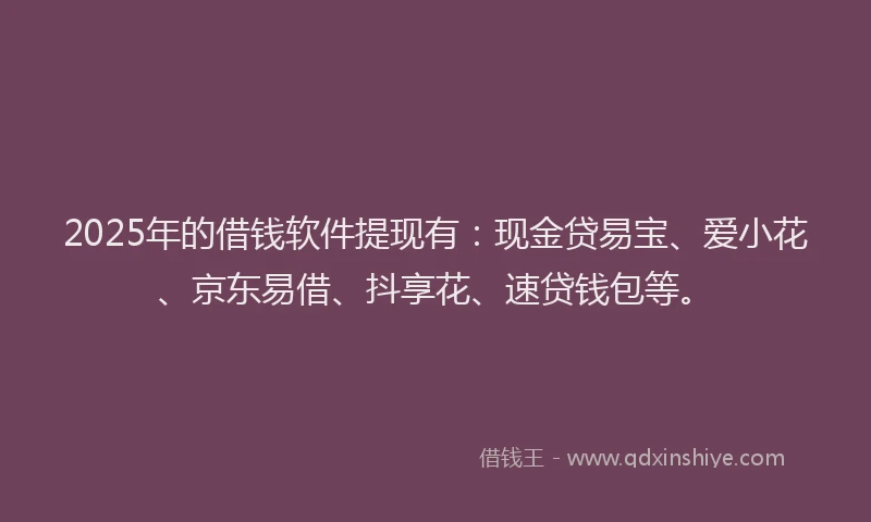2025年的借钱软件提现有：现金贷易宝、爱小花、京东易借、抖享花、速贷钱包等。