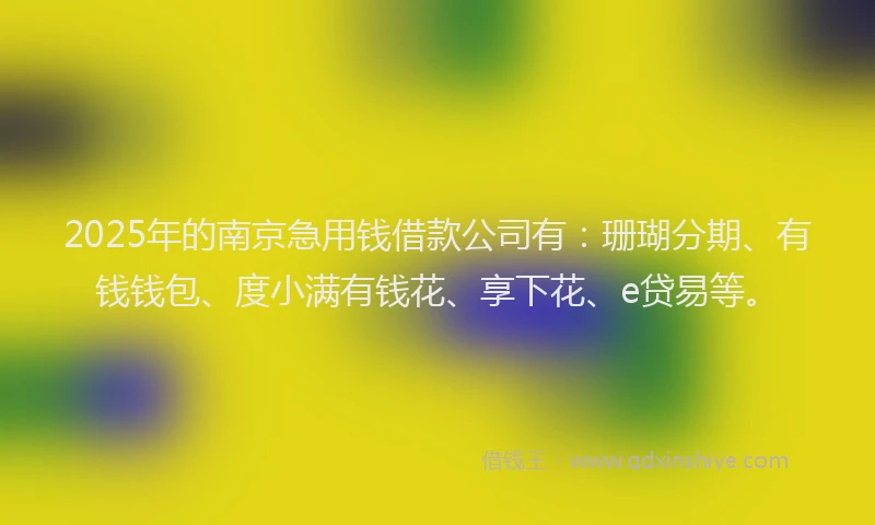 2025年的南京急用钱借款公司有：珊瑚分期、有钱钱包、度小满有钱花、享下花、e贷易等。