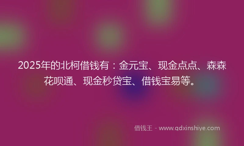 2025年的北柯借钱有：金元宝、现金点点、森森花呗通、现金秒贷宝、借钱宝易等。