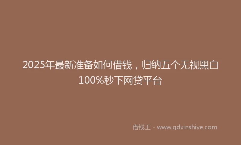 2025年最新准备如何借钱，归纳五个无视黑白100%秒下网贷平台