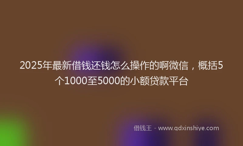2025年最新借钱还钱怎么操作的啊微信，概括5个1000至5000的小额贷款平台