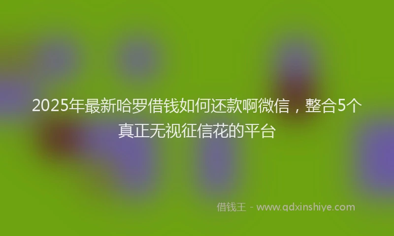 2025年最新哈罗借钱如何还款啊微信，整合5个真正无视征信花的平台