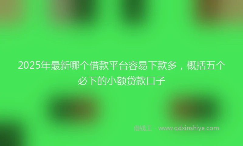 2025年最新哪个借款平台容易下款多，概括五个必下的小额贷款口子