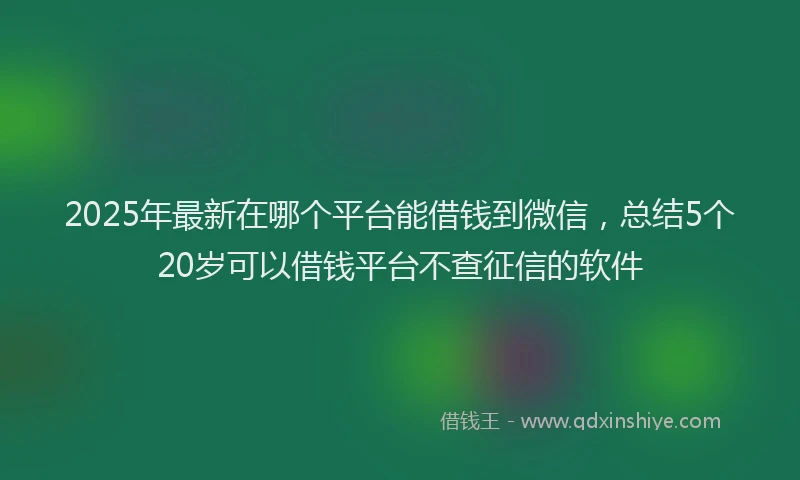 2025年最新在哪个平台能借钱到微信，总结5个20岁可以借钱平台不查征信的软件