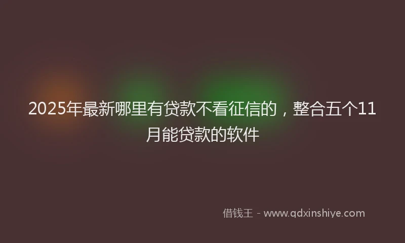 2025年最新哪里有贷款不看征信的，整合五个11月能贷款的软件