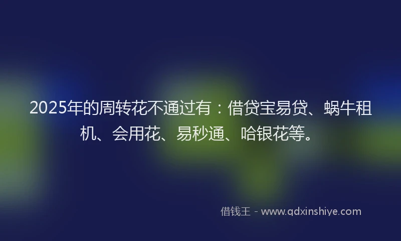 2025年的周转花不通过有：借贷宝易贷、蜗牛租机、会用花、易秒通、哈银花等。