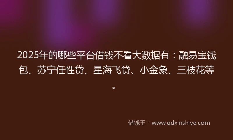 2025年的哪些平台借钱不看大数据有：融易宝钱包、苏宁任性贷、星海飞贷、小金象、三枝花等。