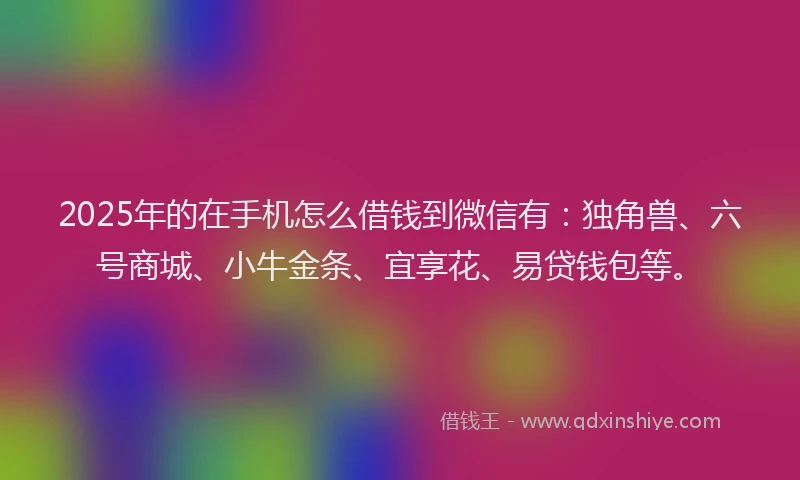 2025年的在手机怎么借钱到微信有：独角兽、六号商城、小牛金条、宜享花、易贷钱包等。