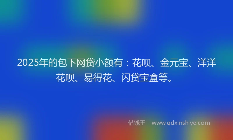2025年的包下网贷小额有：花呗、金元宝、洋洋花呗、易得花、闪贷宝盒等。