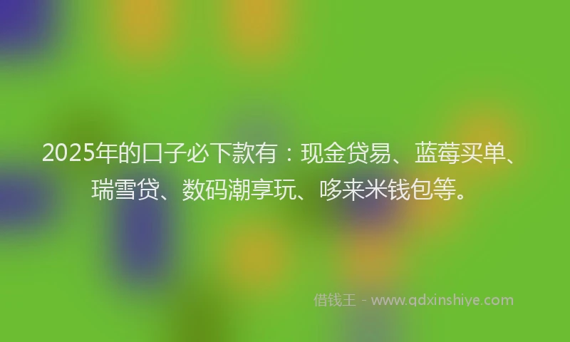 2025年的口子必下款有：现金贷易、蓝莓买单、瑞雪贷、数码潮享玩、哆来米钱包等。
