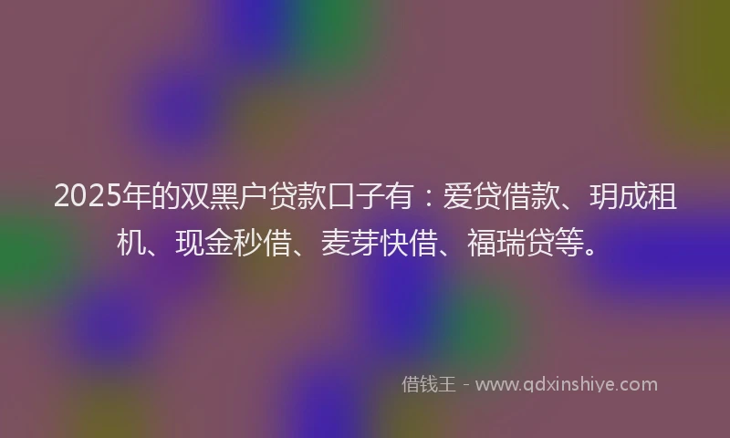 2025年的双黑户贷款口子有：爱贷借款、玥成租机、现金秒借、麦芽快借、福瑞贷等。