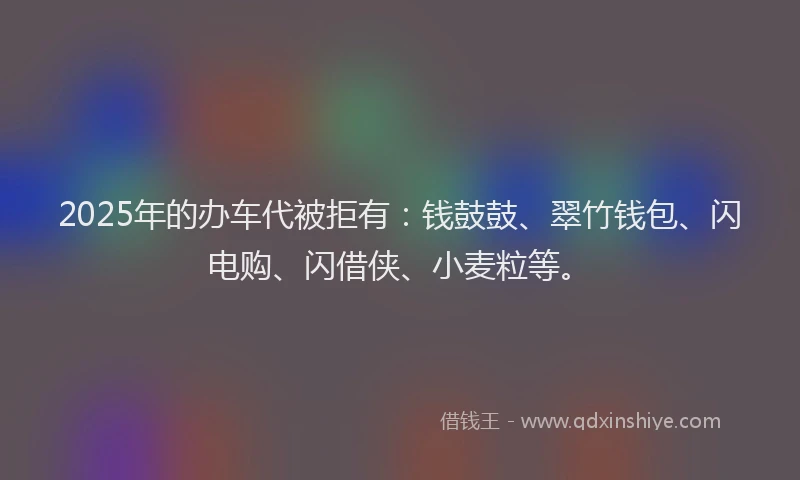 2025年的办车代被拒有：钱鼓鼓、翠竹钱包、闪电购、闪借侠、小麦粒等。