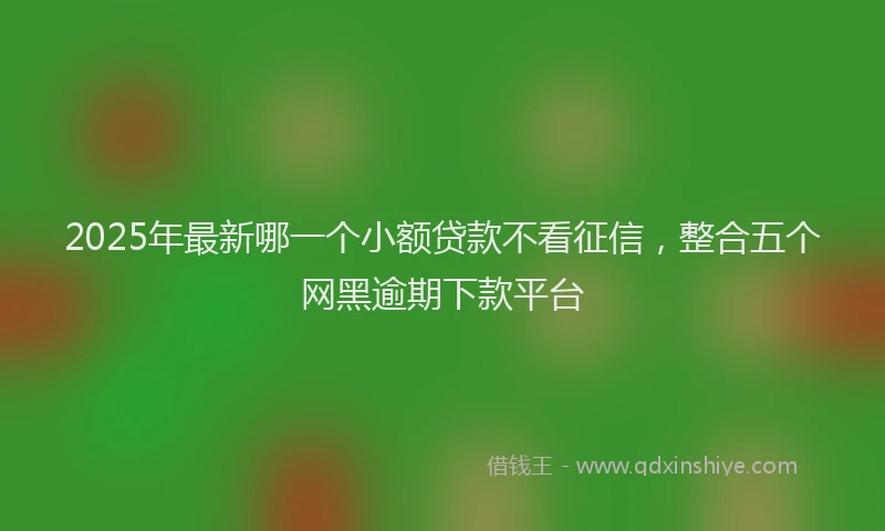 2025年最新哪一个小额贷款不看征信，整合五个网黑逾期下款平台