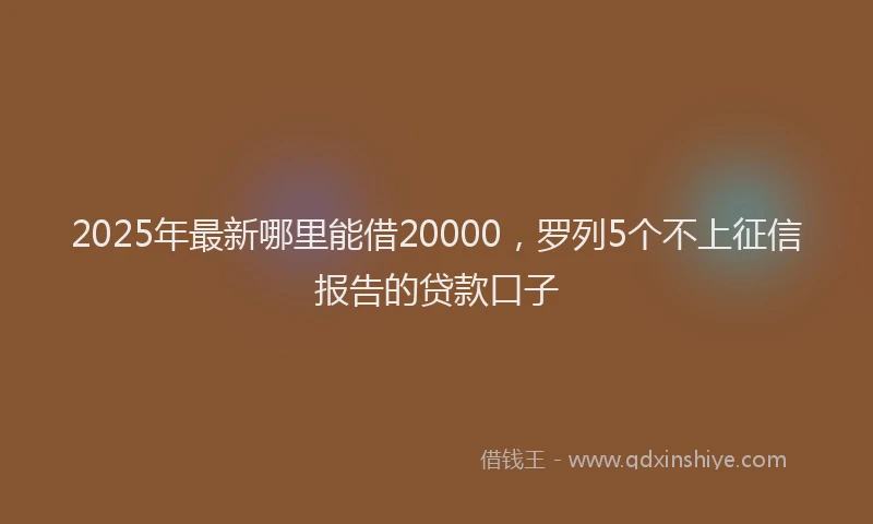 2025年最新哪里能借20000，罗列5个不上征信报告的贷款口子