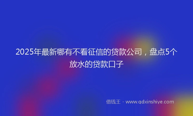 2025年最新哪有不看征信的贷款公司，盘点5个放水的贷款口子