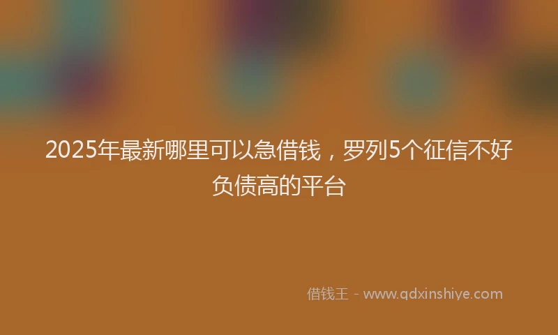 2025年最新哪里可以急借钱，罗列5个征信不好负债高的平台