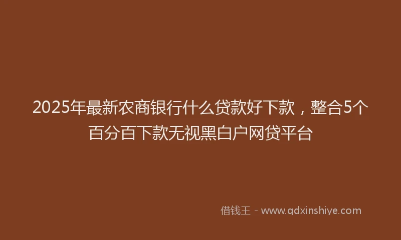 2025年最新农商银行什么贷款好下款，整合5个百分百下款无视黑白户网贷平台