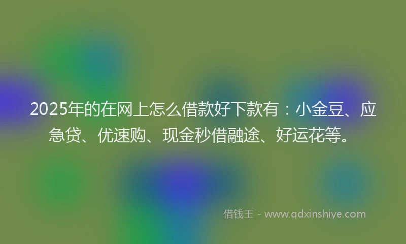 2025年的在网上怎么借款好下款有：小金豆、应急贷、优速购、现金秒借融途、好运花等。