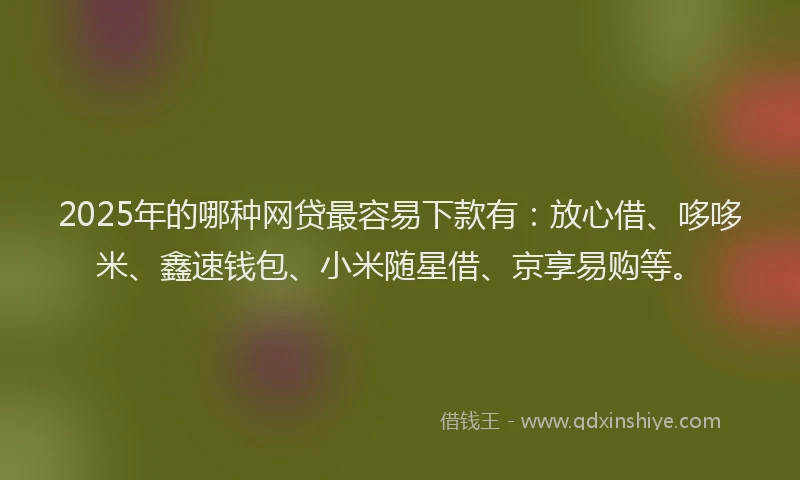 2025年的哪种网贷最容易下款有：放心借、哆哆米、鑫速钱包、小米随星借、京享易购等。