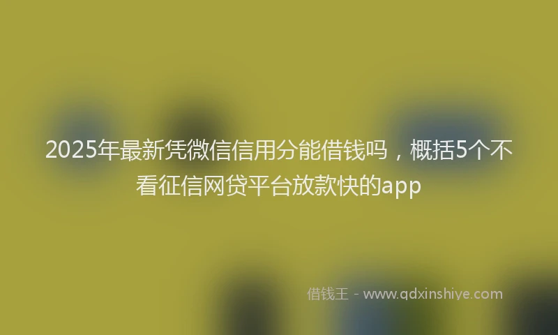 2025年最新凭微信信用分能借钱吗，概括5个不看征信网贷平台放款快的app