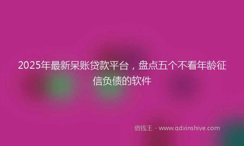 2025年最新呆账贷款平台，盘点五个不看年龄征信负债的软件