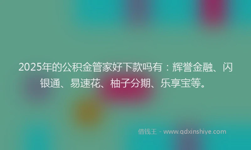 2025年的公积金管家好下款吗有：辉誉金融、闪银通、易速花、柚子分期、乐享宝等。