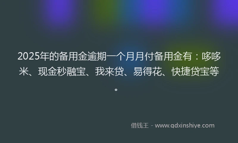 2025年的备用金逾期一个月月付备用金有：哆哆米、现金秒融宝、我来贷、易得花、快捷贷宝等。