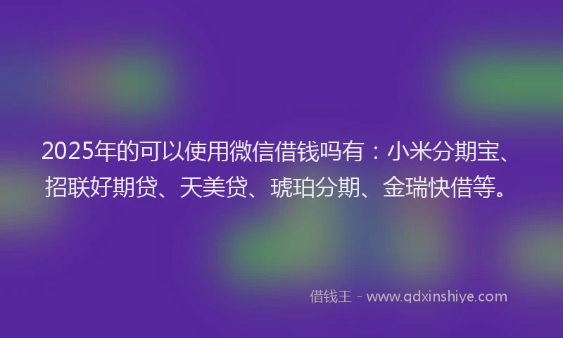 2025年的可以使用微信借钱吗有：小米分期宝、招联好期贷、天美贷、琥珀分期、金瑞快借等。