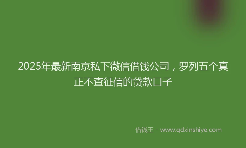 2025年最新南京私下微信借钱公司，罗列五个真正不查征信的贷款口子