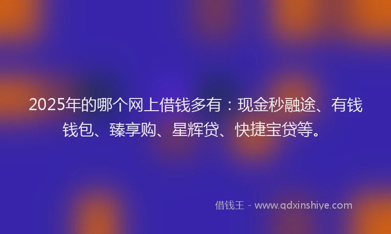 2025年的哪个网上借钱多有：现金秒融途、有钱钱包、臻享购、星辉贷、快捷宝贷等。