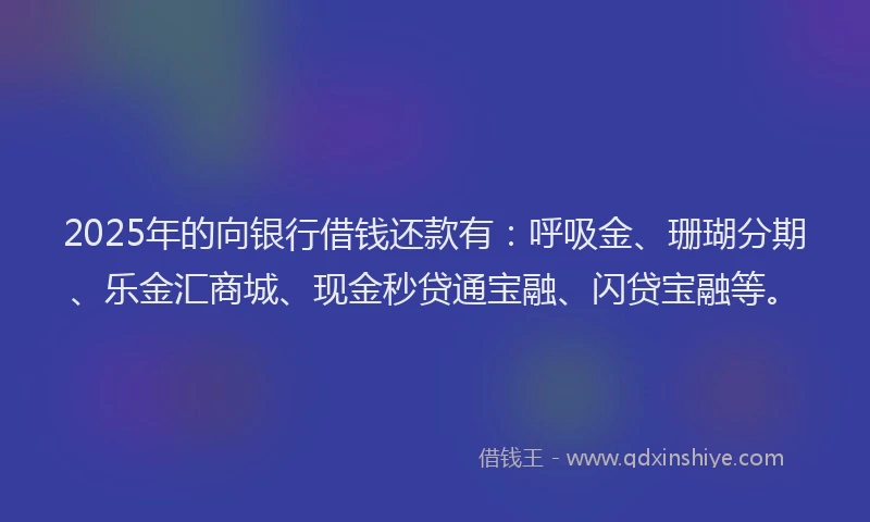 2025年的向银行借钱还款有：呼吸金、珊瑚分期、乐金汇商城、现金秒贷通宝融、闪贷宝融等。