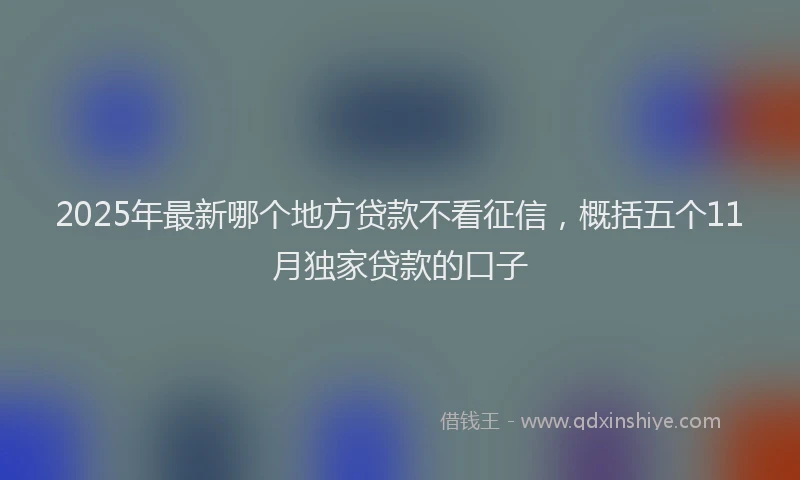 2025年最新哪个地方贷款不看征信，概括五个11月独家贷款的口子