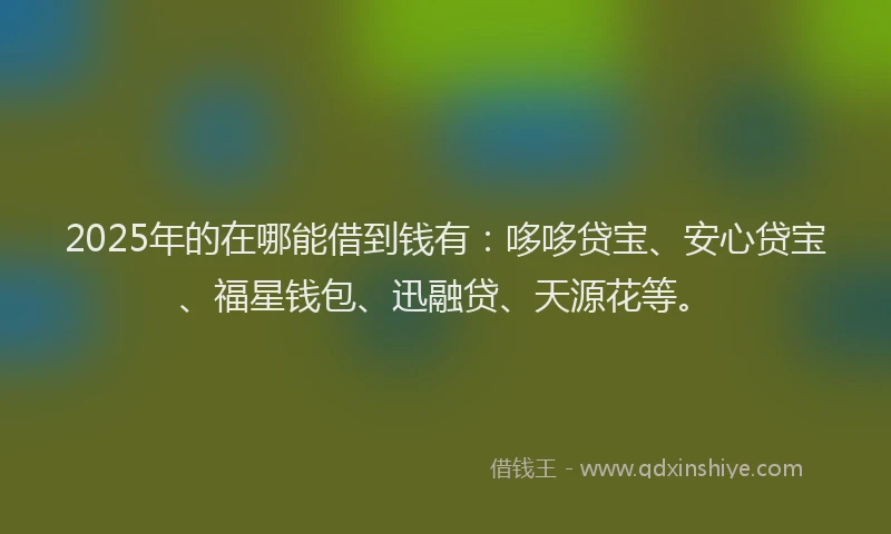 2025年的在哪能借到钱有：哆哆贷宝、安心贷宝、福星钱包、迅融贷、天源花等。