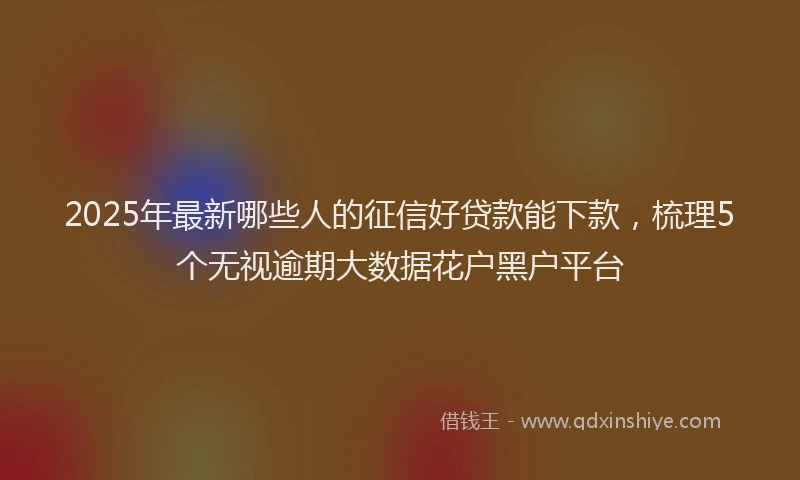 2025年最新哪些人的征信好贷款能下款，梳理5个无视逾期大数据花户黑户平台