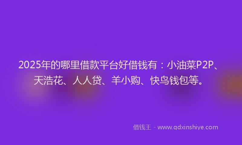 2025年的哪里借款平台好借钱有：小油菜P2P、天浩花、人人贷、羊小购、快鸟钱包等。