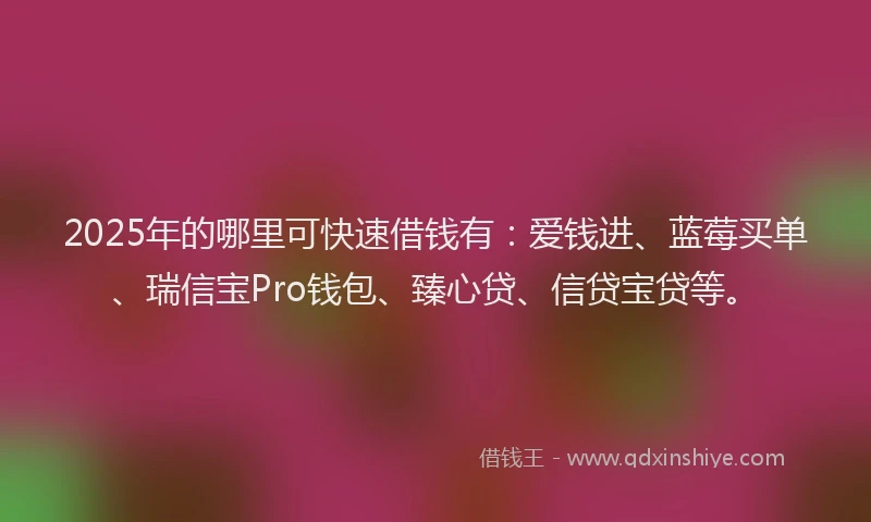 2025年的哪里可快速借钱有：爱钱进、蓝莓买单、瑞信宝Pro钱包、臻心贷、信贷宝贷等。