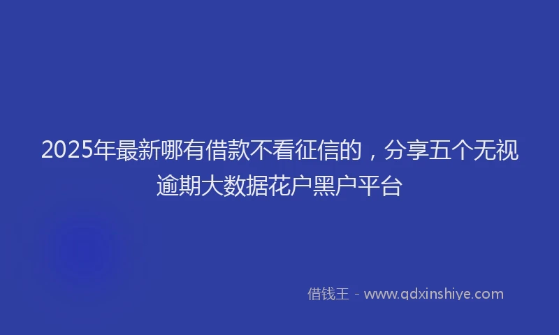 2025年最新哪有借款不看征信的，分享五个无视逾期大数据花户黑户平台