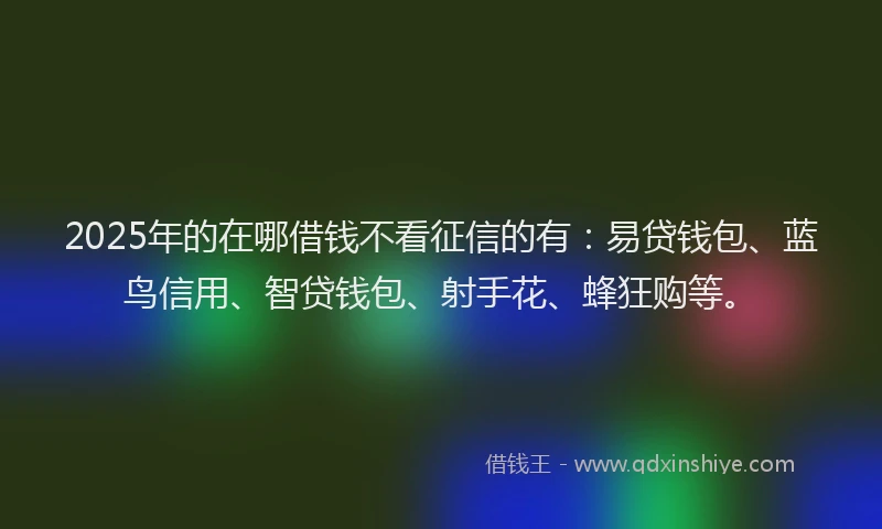 2025年的在哪借钱不看征信的有：易贷钱包、蓝鸟信用、智贷钱包、射手花、蜂狂购等。