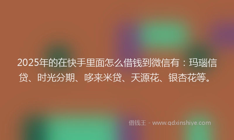 2025年的在快手里面怎么借钱到微信有：玛瑙信贷、时光分期、哆来米贷、天源花、银杏花等。