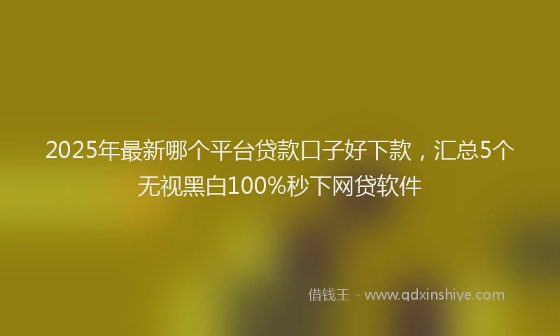 2025年最新哪个平台贷款口子好下款，汇总5个无视黑白100%秒下网贷软件