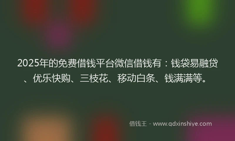 2025年的免费借钱平台微信借钱有：钱袋易融贷、优乐快购、三枝花、移动白条、钱满满等。