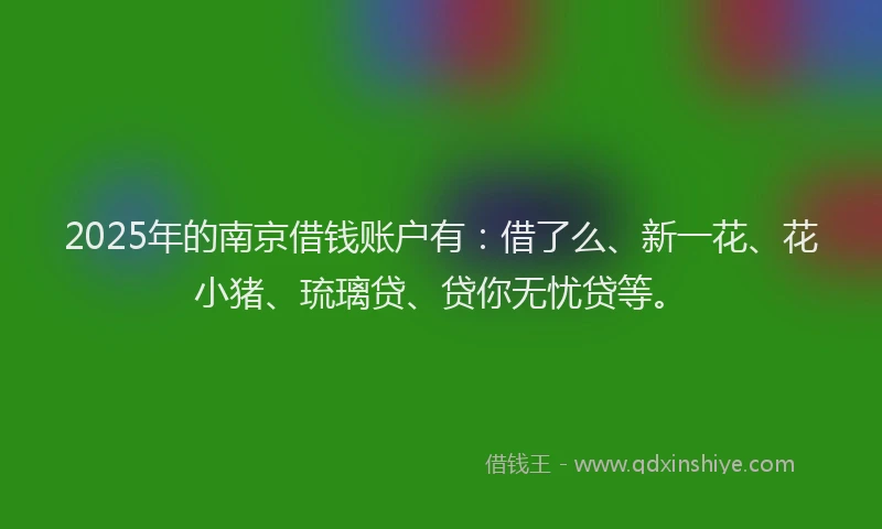 2025年的南京借钱账户有：借了么、新一花、花小猪、琉璃贷、贷你无忧贷等。