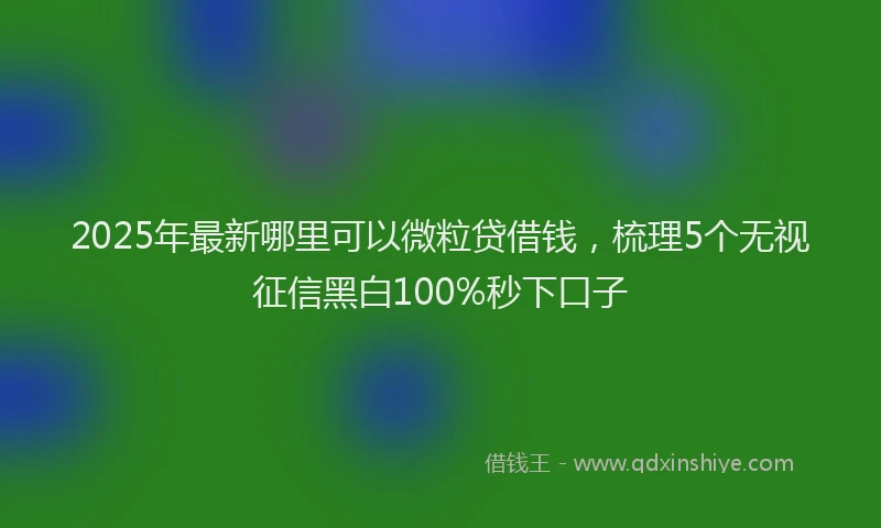 2025年最新哪里可以微粒贷借钱，梳理5个无视征信黑白100%秒下口子