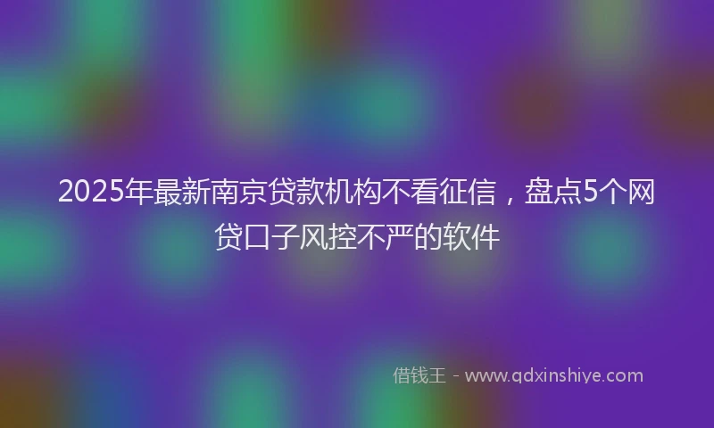 2025年最新南京贷款机构不看征信，盘点5个网贷口子风控不严的软件