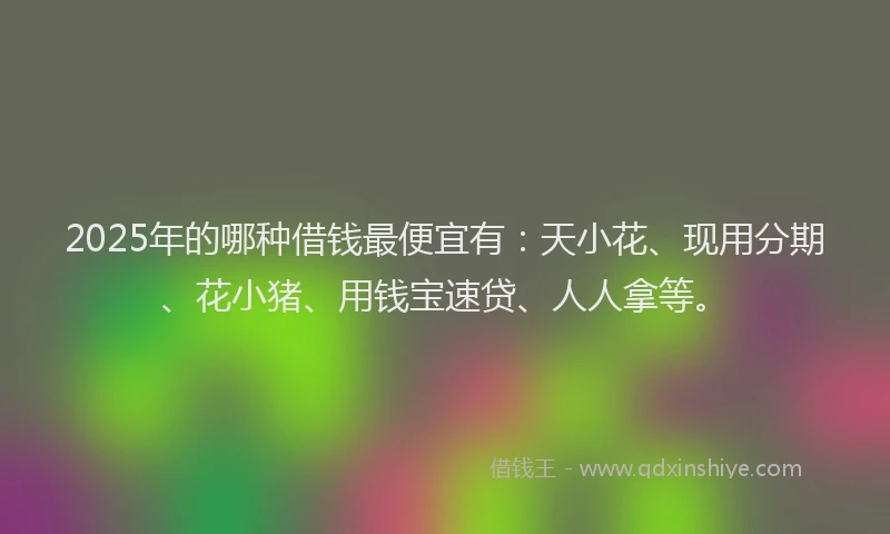 2025年的哪种借钱最便宜有：天小花、现用分期、花小猪、用钱宝速贷、人人拿等。