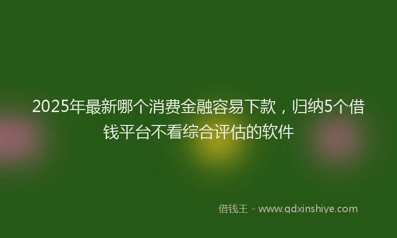 2025年最新哪个消费金融容易下款，归纳5个借钱平台不看综合评估的软件
