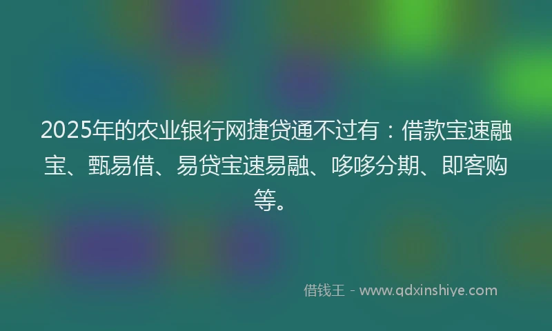 2025年的农业银行网捷贷通不过有：借款宝速融宝、甄易借、易贷宝速易融、哆哆分期、即客购等。