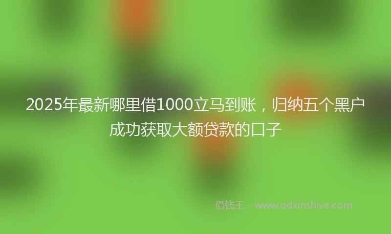 2025年最新哪里借1000立马到账，归纳五个黑户成功获取大额贷款的口子