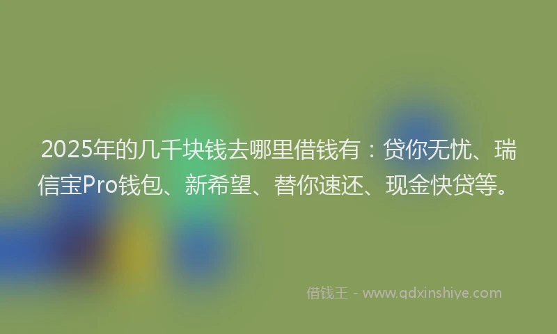 2025年的几千块钱去哪里借钱有：贷你无忧、瑞信宝Pro钱包、新希望、替你速还、现金快贷等。